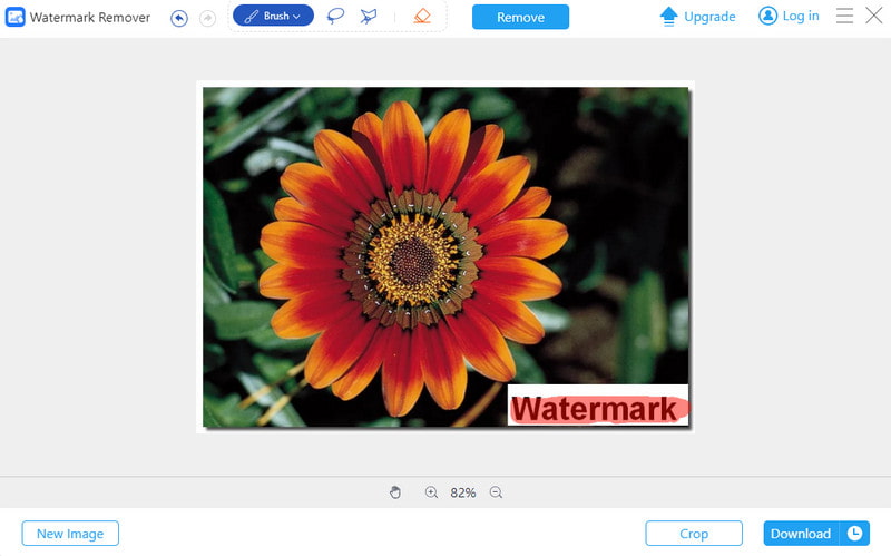 Avaide Watermark Remover Alternativa Imyfone Markgo