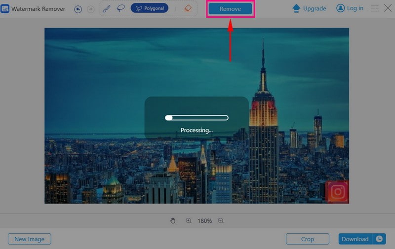 Initiate The Watermark Removal Process
