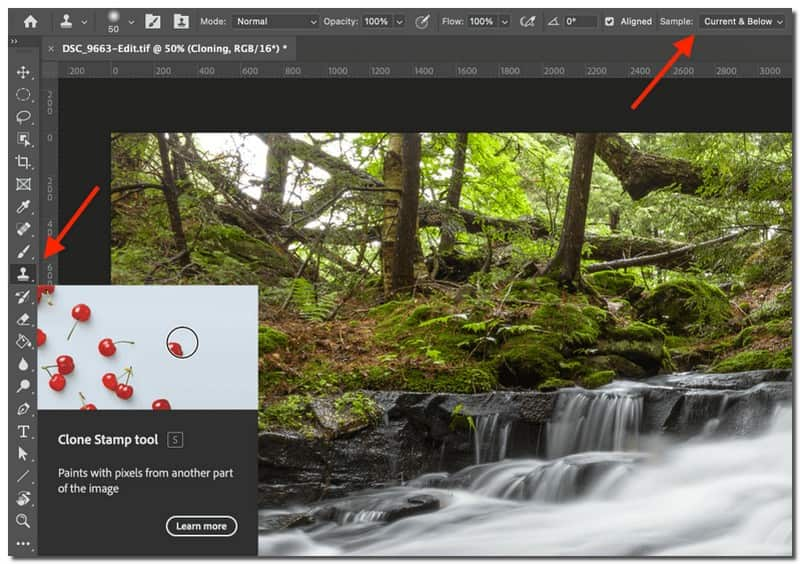 Photoshop Top Alamy Instrumentul de eliminare a filigranului