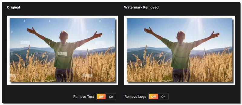 Watermarkremoverio 頂級 Alamy 水印去除工具