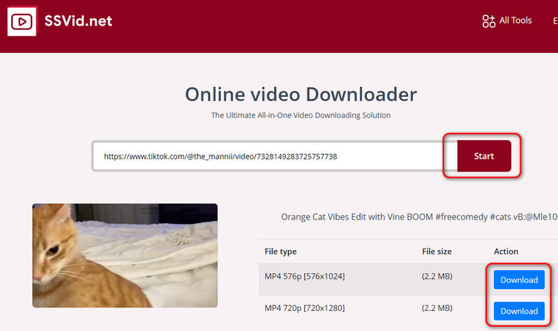 Videó letöltése weboldalról az SSVID segítségével
