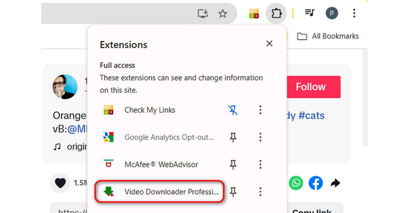 Indítsa el a Video Downloader Professional alkalmazást