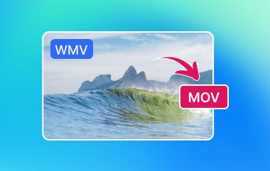 Konverter WMV til MOV