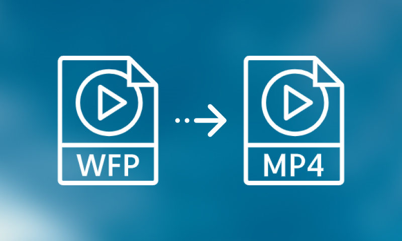 WFP u MP4
