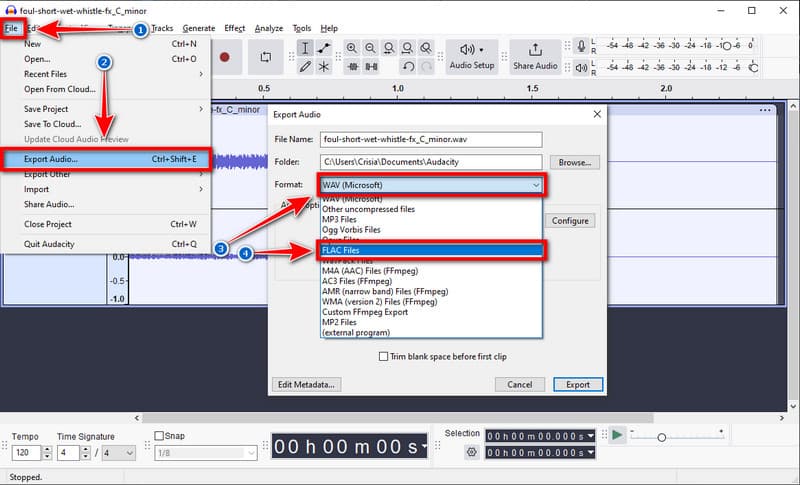 Audacity Change Output Flac