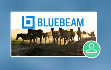 Bluebeam Watermark