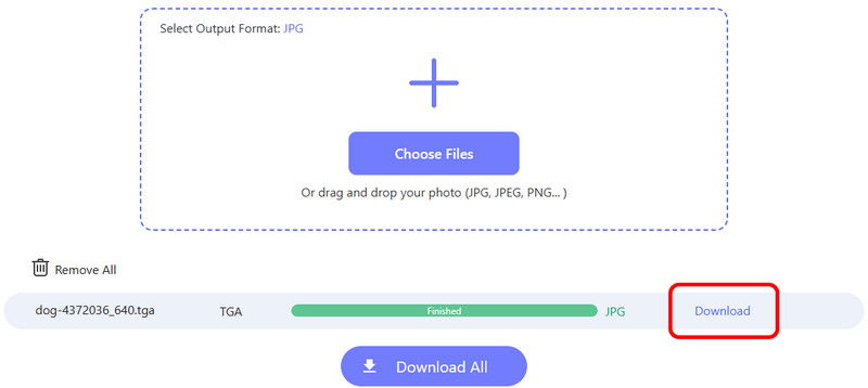 Download Button Avaide