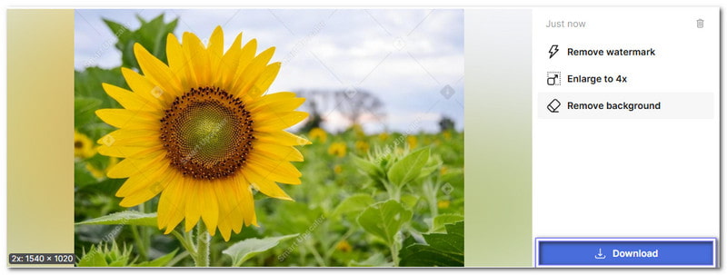 Download Upscaled Image