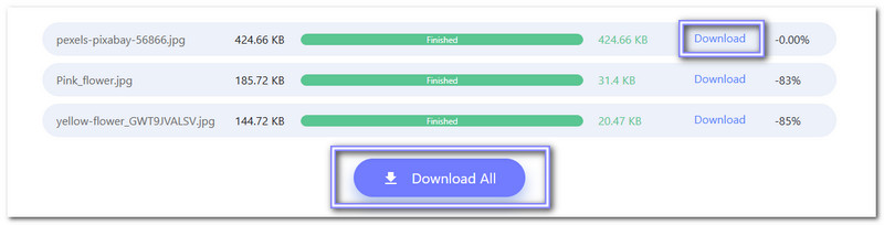 Download Your Compressed Image