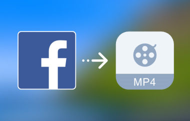 Facebook 到 MP4