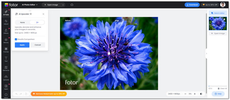 Fotor Upscalepics Alternative