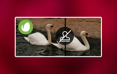 Remove Envato Watermark