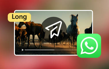 在 WhatsApp 上发送长视频