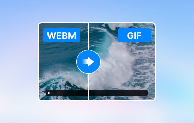Webm 转 GIF