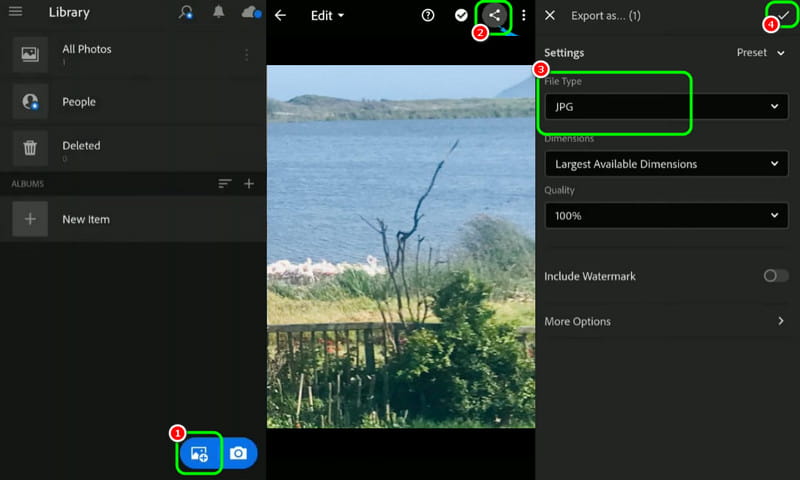 Konvertieren Sie NEF in JPG Lightroom