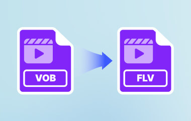 Convert Vob To Flv