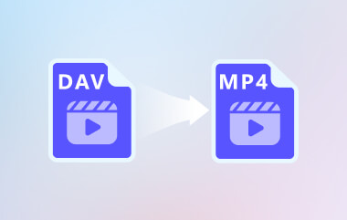Dav To Mp4