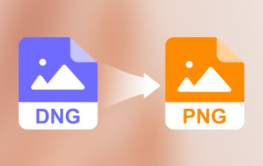 DNG to PNG S