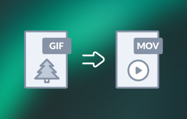 Gif to MOV
