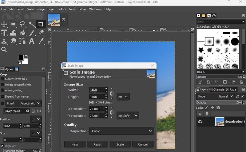 Immagine in scala di Gimp