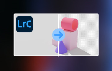 Remove Background in Lightroom