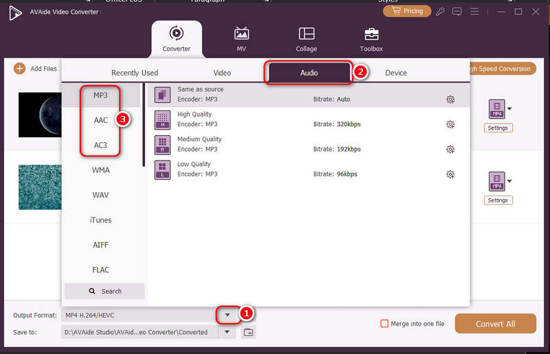 Select Audio Output Format Avaide