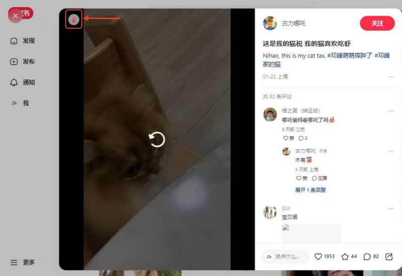 Browser Extension