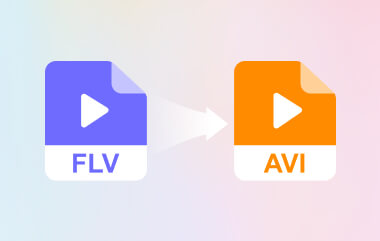 FLV를 AVI로 변환