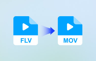 Convert FLV to MOV
