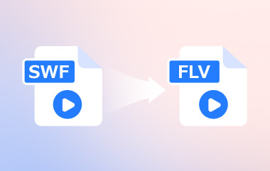 Convert SWF to FLV