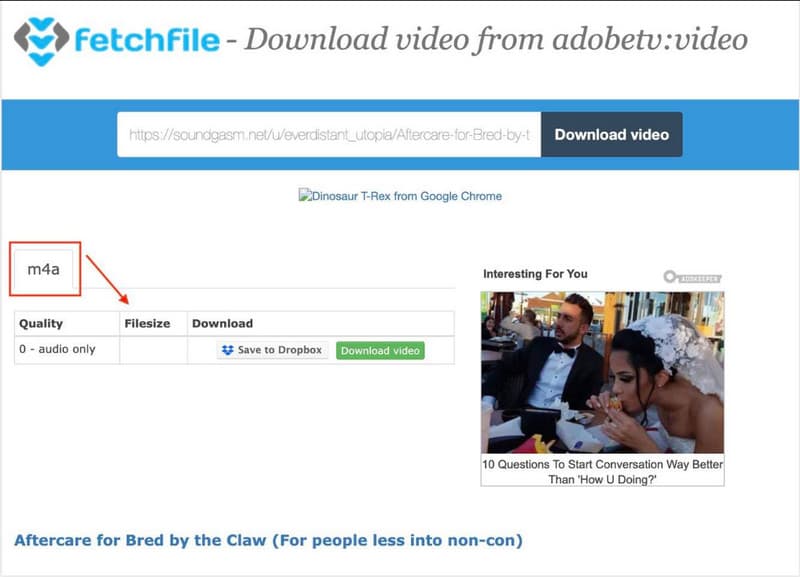 Fetch File