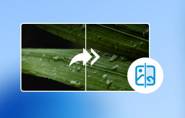 Noise Reduction Photoshop