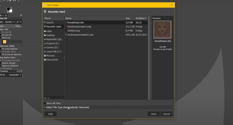 在 GIMP 中打开 DDS 文件