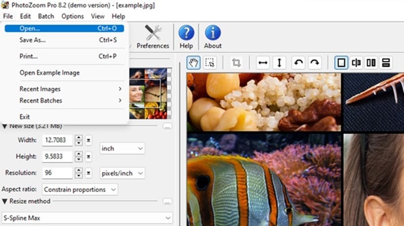 Photozoom Pro