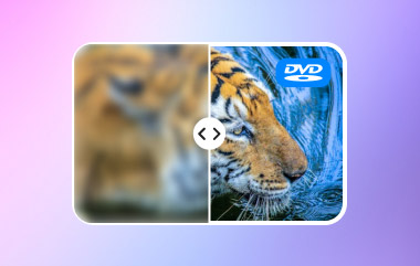 Cómo mejorar el DVD