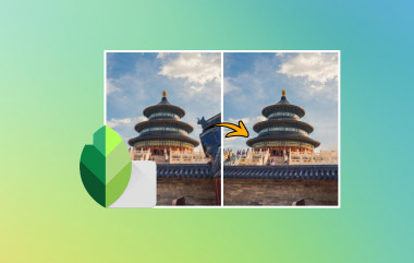 Snapseed Remove Object