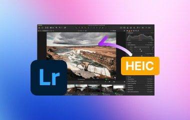 Can Lightroom Import HEIC S