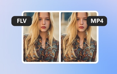 Convert FLV to MP4