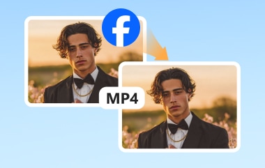 Facebook to MP4
