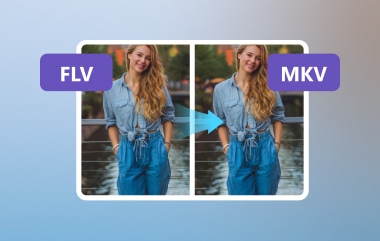 FLV în MKV