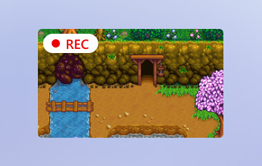 Record Stardew Valley