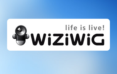 WiziWig Alternative
