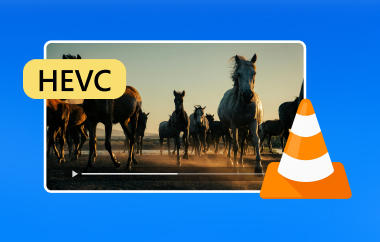VLC peut-il lire les fichiers HEVC ?