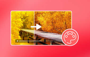 שינוי צבע וידאו