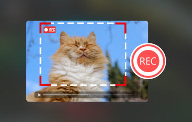 ビデオを録画する方法