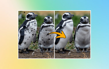 फोटो दोष हटानेवाला