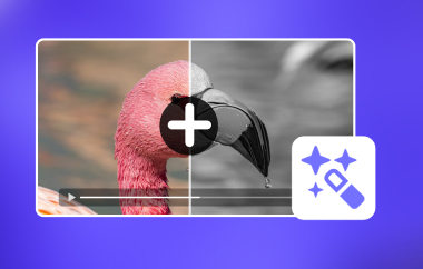 给视频添加黑白滤镜