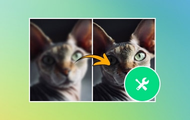 Memperbaiki Gambar yang Tidak Fokus