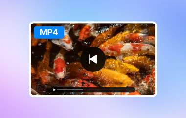 MP4 umkehren