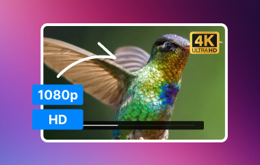 יוקרתי 1080p HD עד 4K